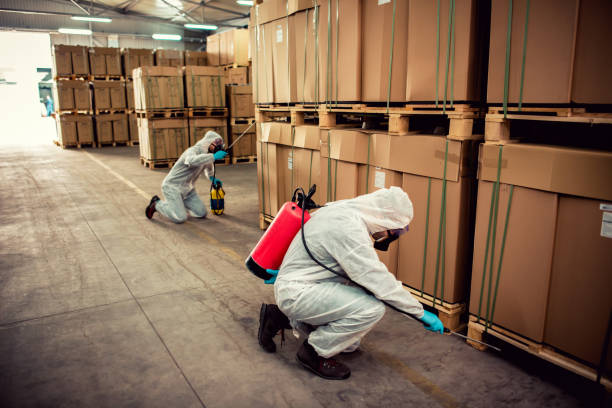 Best Rat Extermination Near Me  in Oldsmar, FL