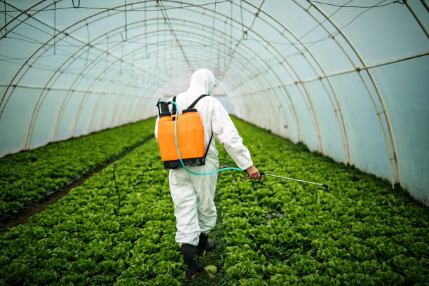 Best Pest Prevention Services  in Oldsmar, FL