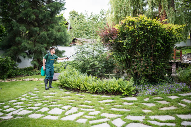 Best Pest Inspection Near Me  in Oldsmar, FL