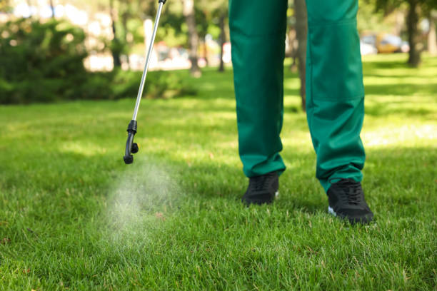 Wasp Removal Services in Oldsmar, FL